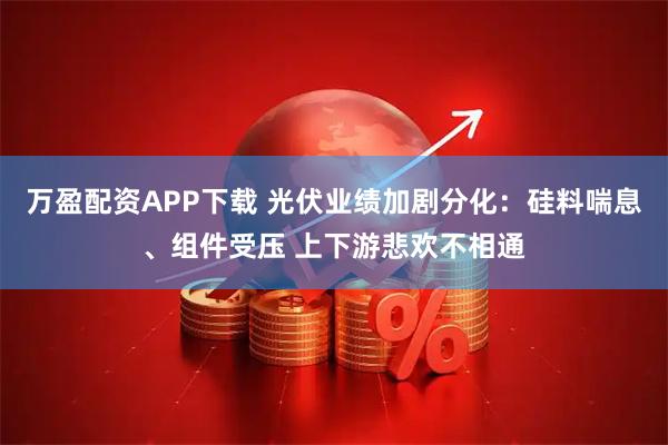 万盈配资APP下载 光伏业绩加剧分化:硅料喘息、组件受压 上下游悲欢不相通