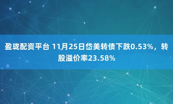 盈珑配资平台 11月25日岱美转债下跌0.53%，转股溢价率23.58%