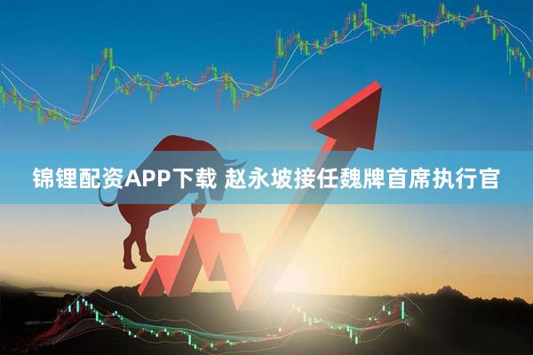 锦锂配资APP下载 赵永坡接任魏牌首席执行官